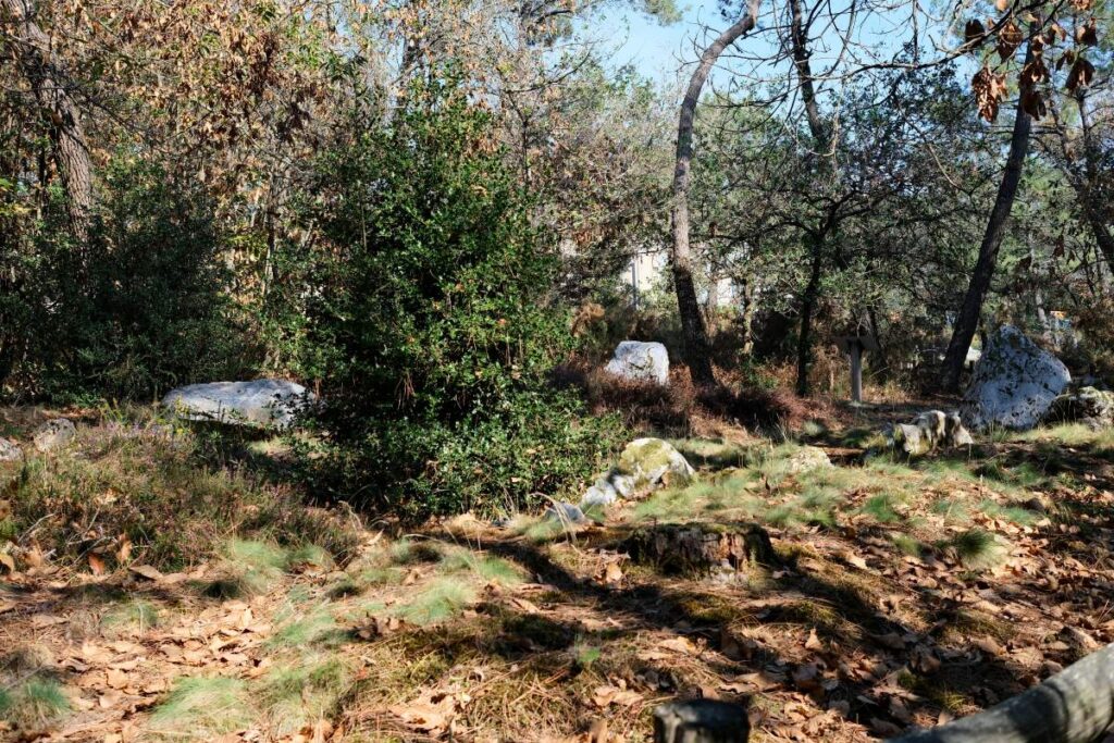 Le tertre tumulaire du site mégalithique de Langon, la Gaudinais, dans les sous-bois