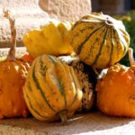 citrouilles au cloître de Redon, pendant la Teillouse