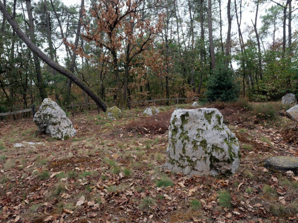 blocs de schiste du tertre tumulaire de la Gaudinais, à Langon, ille-et-vilaine