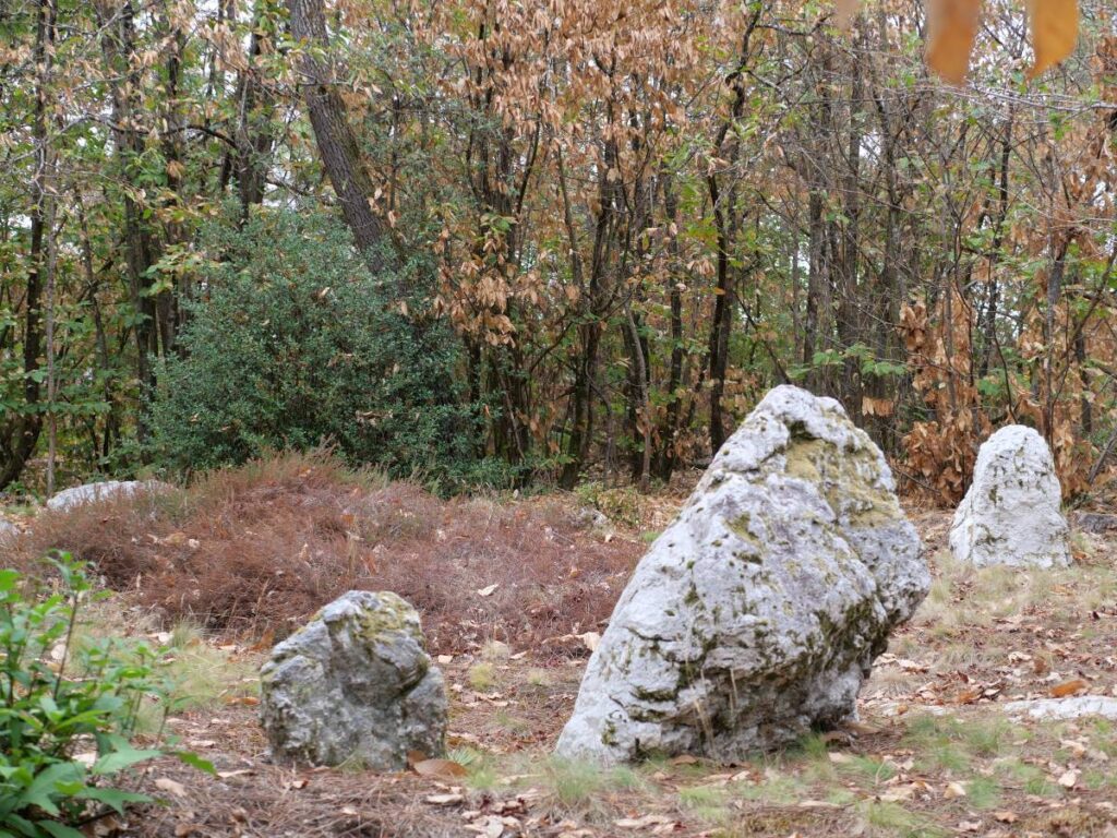 blocs de schiste du tertre tumulaire de la Gaudinais, à Langon, dans les sous-bois