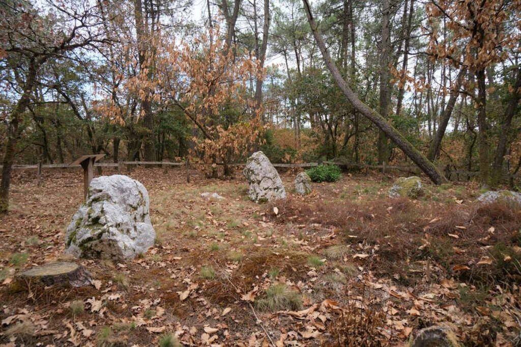 Les blocs de schiste du tertre tumulaire de La Gaudinais, à Langon