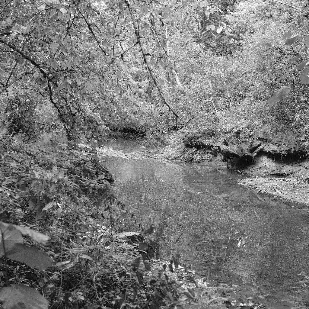 Les rives du Don s'assèchent à guemene-Penfao