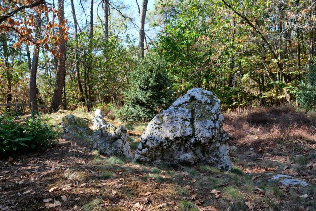Blocs de schiste du tertre de la Gaudinais, à Langon