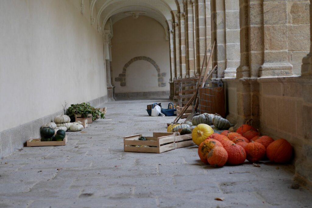 Fruits d'automne sous le cloître saint-Sauveur à Redon